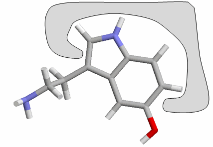 serotonine-r