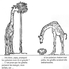 girafe1