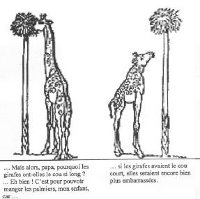 girafe2