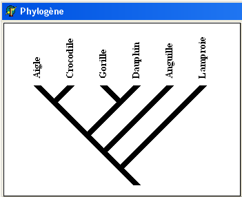 phylogene2