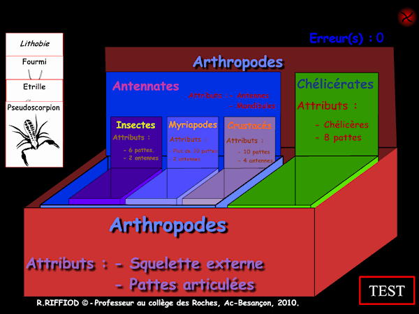 arthropodes