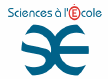 sciences_ecole
