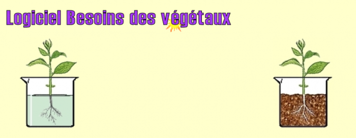 Le Vivant Sa Diversité Et Les Fonctions Qui Le Caractérisent