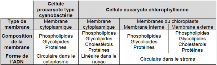 Sujet Bac Svt Spé 2021 Corrigé Polynésie