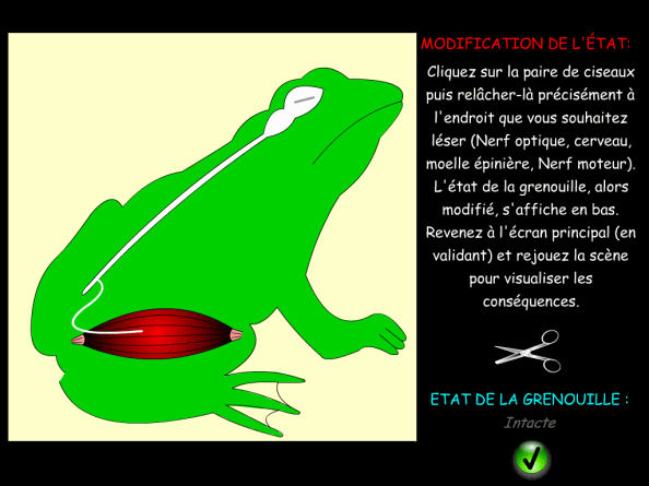 Logiciel Cmd Grenouille Svt Animation Labo Virtuel Commande Du 