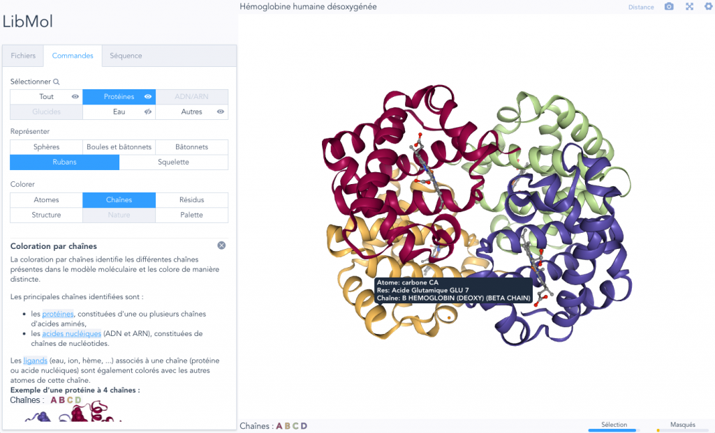 Libmol.org : un nouveau logiciel de visualisation moléculaire – SVT ...
