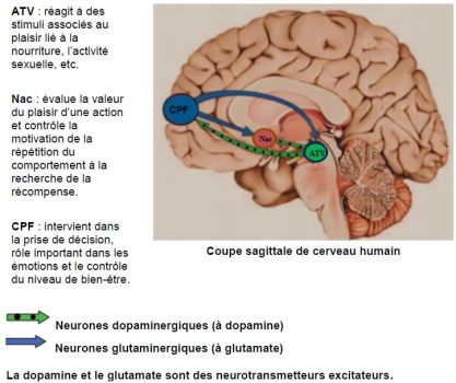 Bac Général Spé SVT – Session Septembre 2022 – Polynésie Sujet 2 – SVT ...