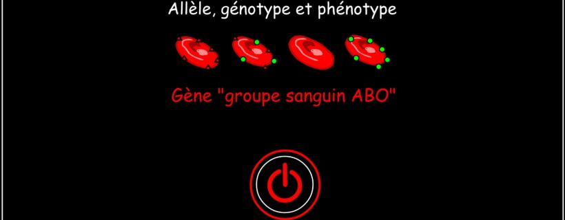 Application « Gène groupe sanguin ABO » version HTML5