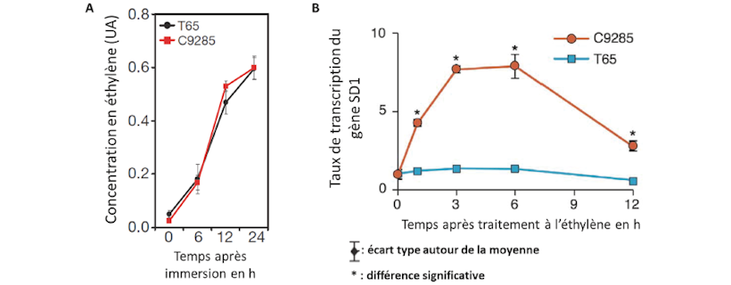 Bac Général Spé SVT Septembre 2025 – Métropole Sujet 1 bis