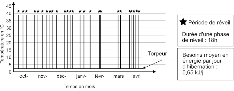 DNB 2026 – Amérique du Nord