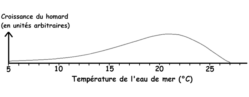 DNB 2026 – Centres étrangers